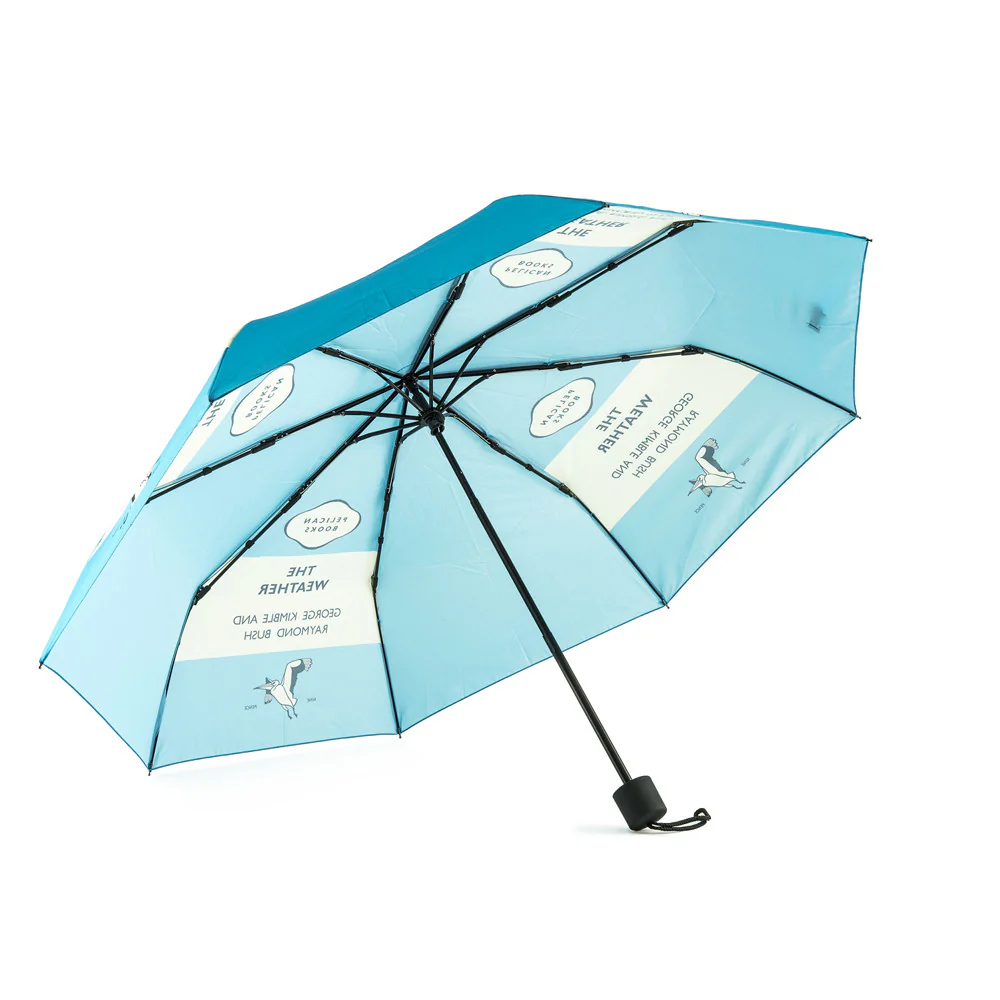 The Weather - Image 4